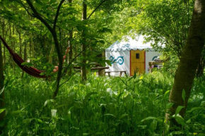 Отель Plush Tents Yurt Village  Чичестер